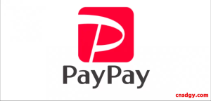 PayPay手续费与提现流程全攻略：跨境收款商家必读指南