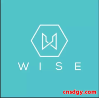 Wise国际转账限额与到账速度全解析：不同国家支持金额与时间说明