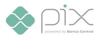 Pix Payments：巴西的领先支付平台及其2024年最新版注册使用指南