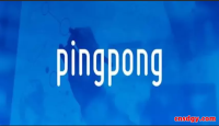 PingPong收款手续费详细解析及降低成本的实用技巧