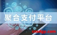 聚合支付是什么意思？主流聚合支付平台有哪些?