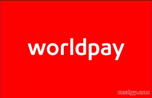 跨境卖家必看：WorldPay账户登录流程与问题排查技巧