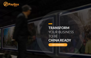 2025最新版PayLinx支付平台全攻略：注册、收款与提现详解