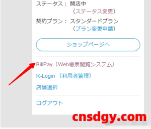 简单了解乐天Billpay