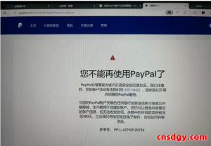 PayPal账号总暴毙？特货卖家避坑保命的3条铁律！
