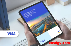 Wish收款用哪个平台最稳？内行人都在用这几个！