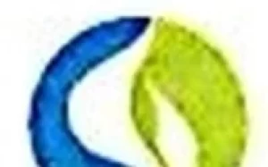 申城通是中国什么支付平台?靠谱吗?2024年最新版注册使用指南