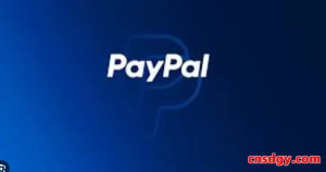PayPal费率怎么降低？2025最新节省47%手续费方案