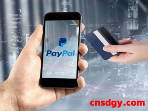PayPal收款待处理是什么意思?怎么解决? 2000字帮你解决