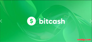 BitCash收款提现全攻略：注册、费用与安全性全面解析