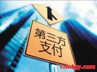 2025法国支付平台TOP10：PayPal/Stripe/Adyen谁称霸？深度解析