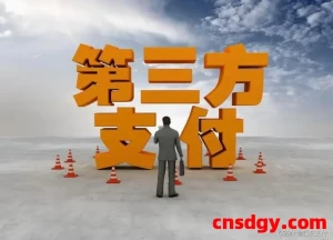 2024年中国10大第三方收款支付平台(截止2024年12月)