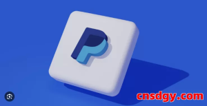 2025年跨境电商首选支付工具对比：PayPal对决iPayLinks