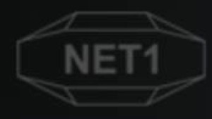 Net 1是南非什么支付平台?靠谱吗?2024年最新版注册使用指南