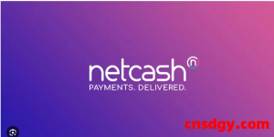 跨境卖家如何将你的钱从你的Netcash提款到你的国内银行账户?