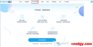 如何通过PingPong福贸「账单收款」简化外贸收款流程？支持信用卡付款，一文详解！