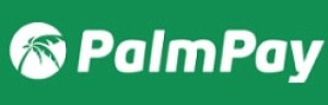PalmPay是加纳什么支付平台?靠谱吗?2024年最新版注册使用指南