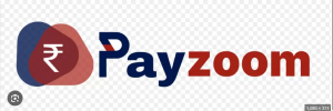 跨境卖家如何将资金从PayZoom提现至国内银行账户：流程、合规与优化策略