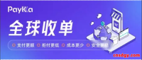 PayKKa平台注册、KYC到提现全流程指南及操作细节