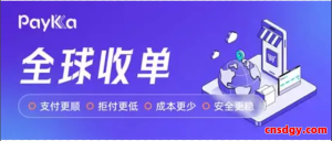 PayKKa平台注册、KYC到提现全流程指南及操作细节
