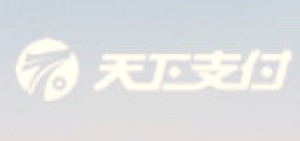 天下支付