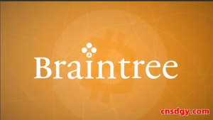 2025年Braintree跨境收款全攻略：费率、注册、提现详解