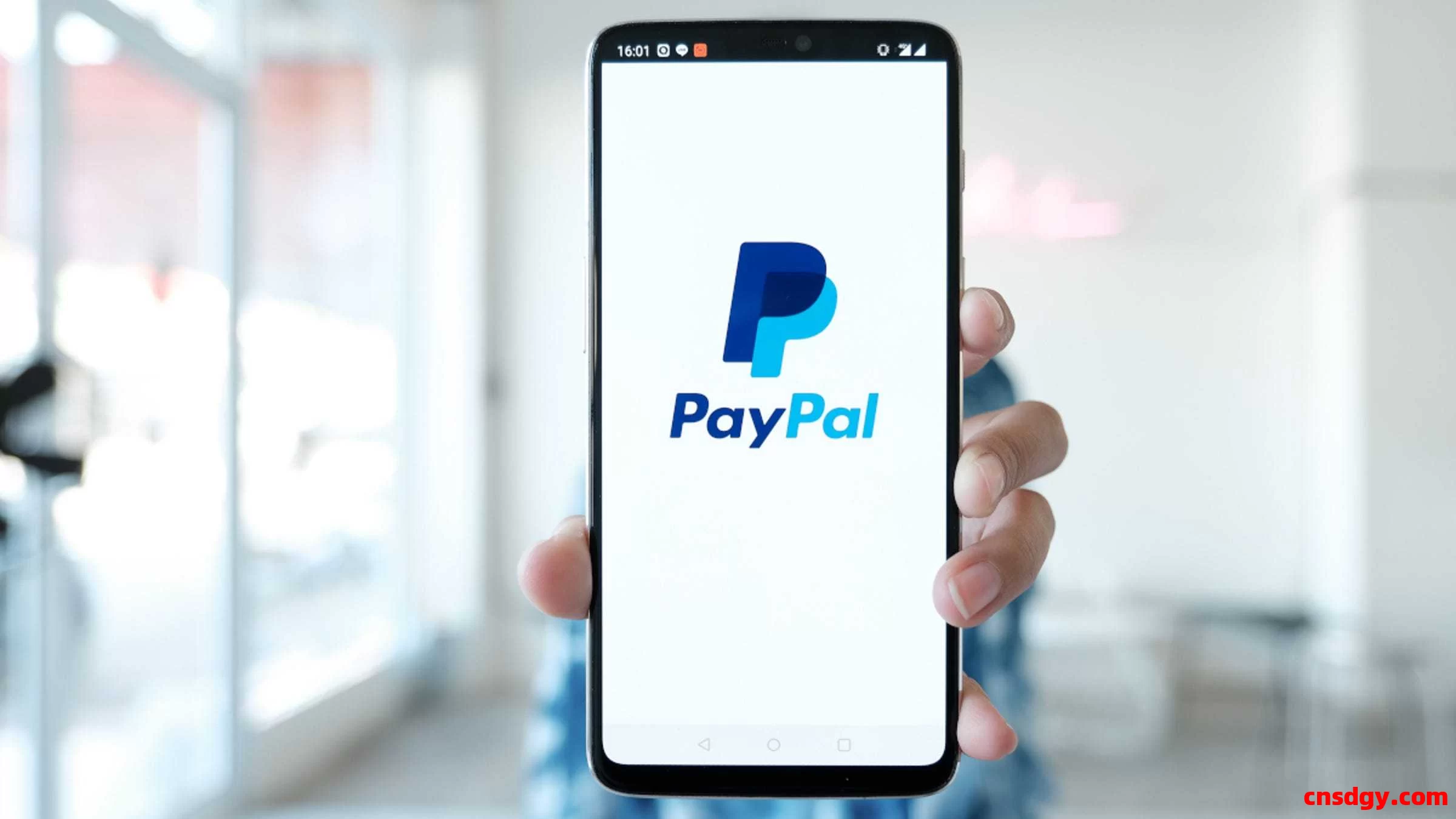 在贝宝PayPal上哪些交易完成后是无法撤销的? 第1张 在贝宝PayPal上哪些交易完成后是无法撤销的? 第1张
