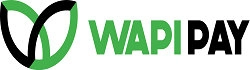 Wapi Pay是肯尼亚什么支付平台?靠谱吗?2024年最新版注册使用指南 第1张 Wapi Pay是肯尼亚什么支付平台?靠谱吗?2024年最新版注册使用指南 第1张