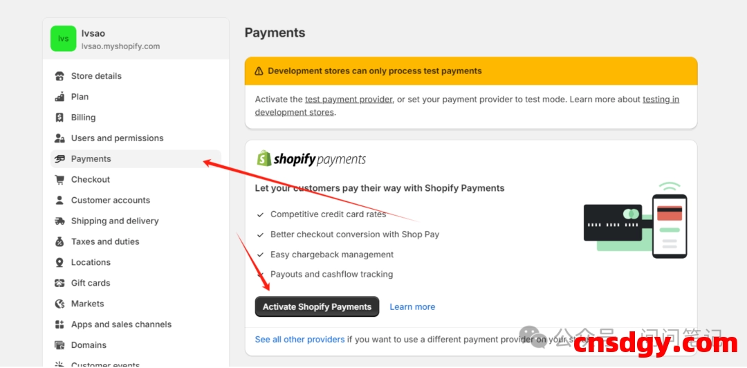 2025独立站最低成本收款全攻略&stripe、shopify payment详细注册教程 第13张
