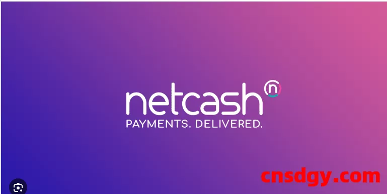 跨境卖家如何将你的钱从你的Netcash提款到你的国内银行账户? 第1张 跨境卖家如何将你的钱从你的Netcash提款到你的国内银行账户? 第1张