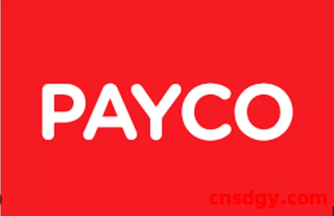 跨境卖家资金回流指南：PAYCO提现至国内银行账户全流程解析 第1张