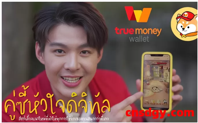 泰国钱包True Money怎么用?有哪些功能? 第2张 泰国钱包True Money怎么用?有哪些功能? 第2张