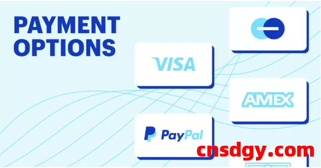 海外独立站：9种常用的支付方式及选择秘诀！做跨境电商一定要清楚！ 第1张