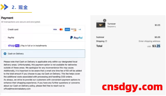 海外独立站：9种常用的支付方式及选择秘诀！做跨境电商一定要清楚！ 第3张