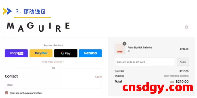 海外独立站：9种常用的支付方式及选择秘诀！做跨境电商一定要清楚！ 第4张