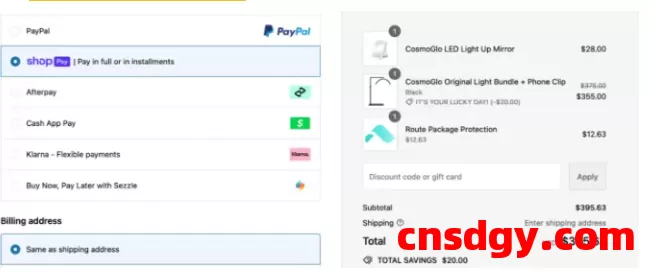 海外独立站：9种常用的支付方式及选择秘诀！做跨境电商一定要清楚！ 第5张