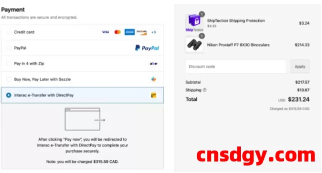 海外独立站：9种常用的支付方式及选择秘诀！做跨境电商一定要清楚！ 第7张