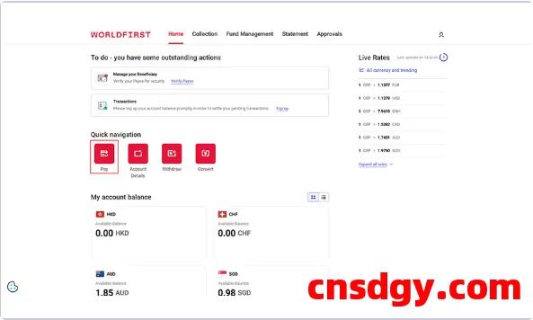 揭秘WorldFirst多币种收款神操作，全球卖家必学高效技巧！ 第1张