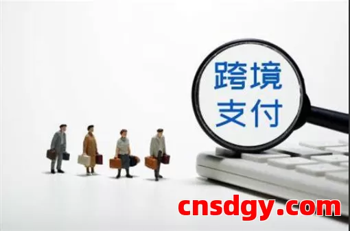 东南亚跨境电商常用收款工具全面解析 第1张 东南亚跨境电商常用收款工具全面解析 第1张