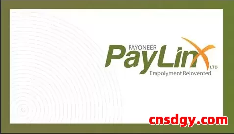 跨境电商必看PayLinx收款提现及安全性详解 第1张 跨境电商必看PayLinx收款提现及安全性详解 第1张