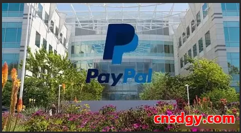 PayPal账户被限额怎么办?教你快速解除限制全攻略 第1张 PayPal账户被限额怎么办?教你快速解除限制全攻略 第1张