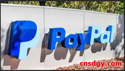 PayPal支付失败原因及解决办法(2025年最新版) 第1张 PayPal支付失败原因及解决办法(2025年最新版) 第1张