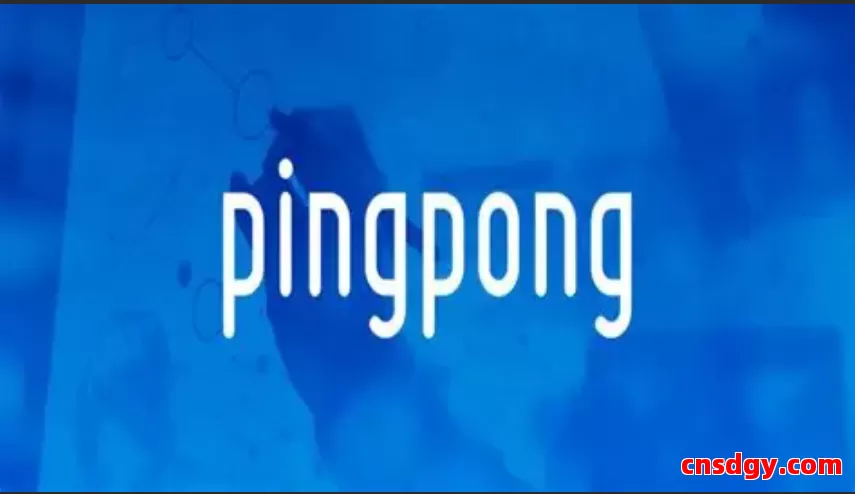 PingPong收款手续费详细解析及降低成本的实用技巧 第1张