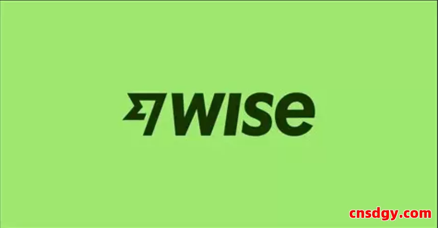 Wise商业账户申请流程全解析：个人版与企业版详细对比 第1张