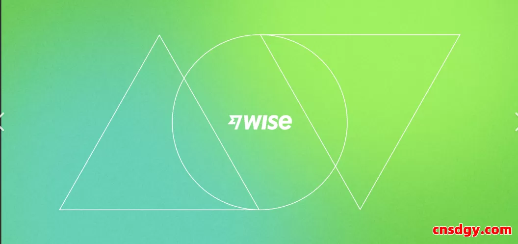 Wise转账显示“处理失败”？常见原因及解决办法 第1张