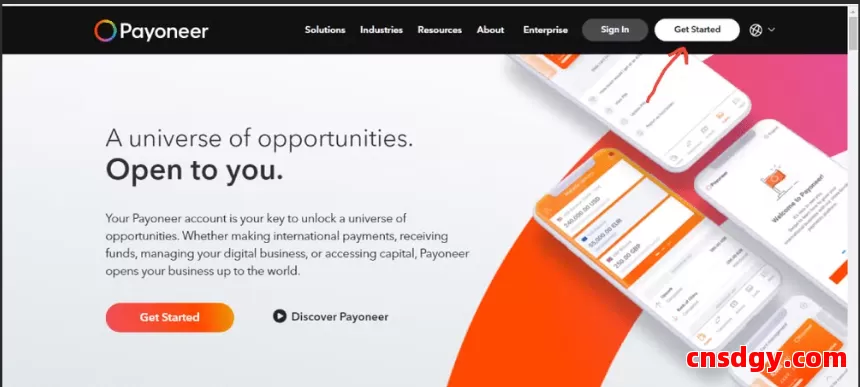 Payoneer账户无法登录？常见原因及快速修复方法指南 第1张