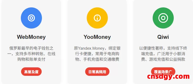 俄罗斯电商跨境收款:最常用的跨境支付方式指南 第3张 俄罗斯电商跨境收款:最常用的跨境支付方式指南 第3张