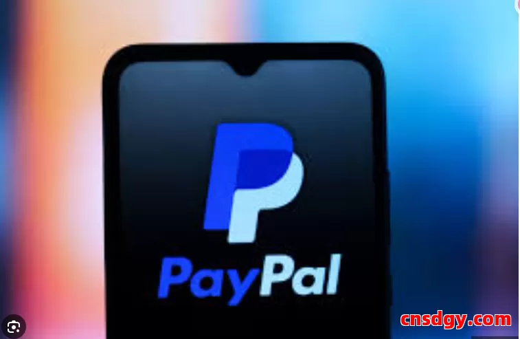 PayPal公司账户提现怎么最省钱？个体户 vs 公司对比 第1张