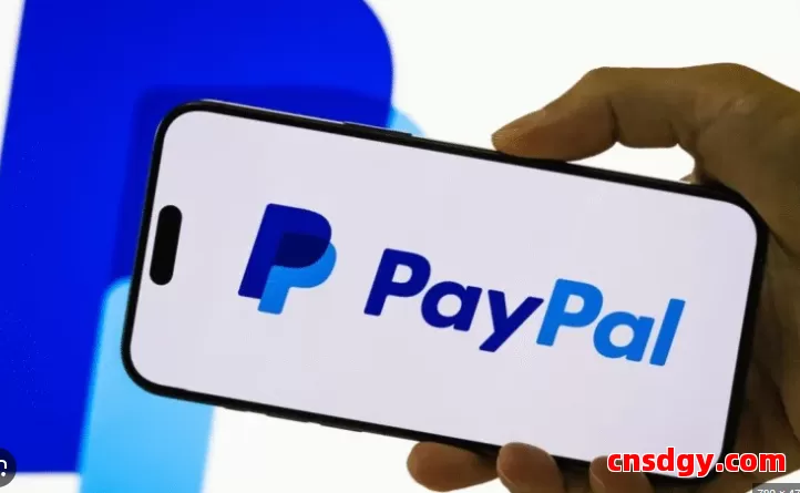 独立站如何接PayPal收款?新手0成本配置教程 第1张 独立站如何接PayPal收款?新手0成本配置教程 第1张